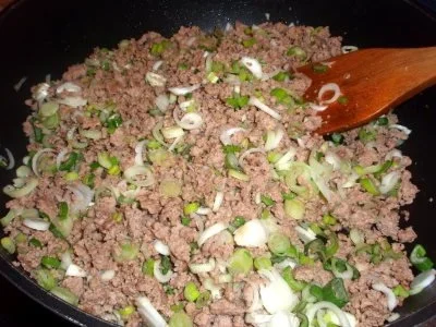 Spaghetti mit Hack - Bresso - Soße - Rezept - Bild Nr. 5