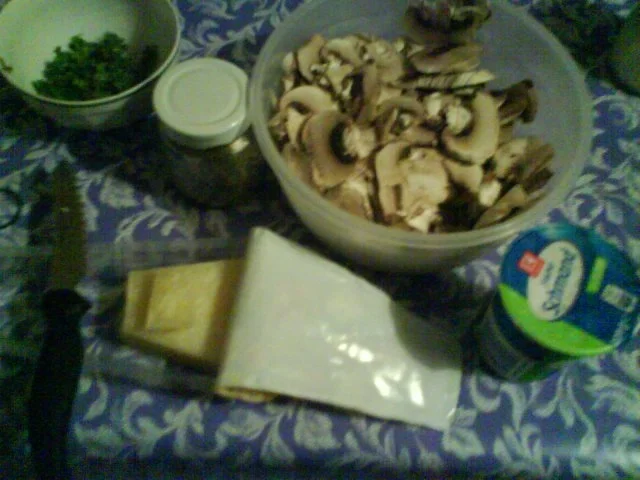 Rezept: Teigtaschen Funghi Bild Nr. 2 Teigtaschen Funghi - Rezept - Bild Nr. 2