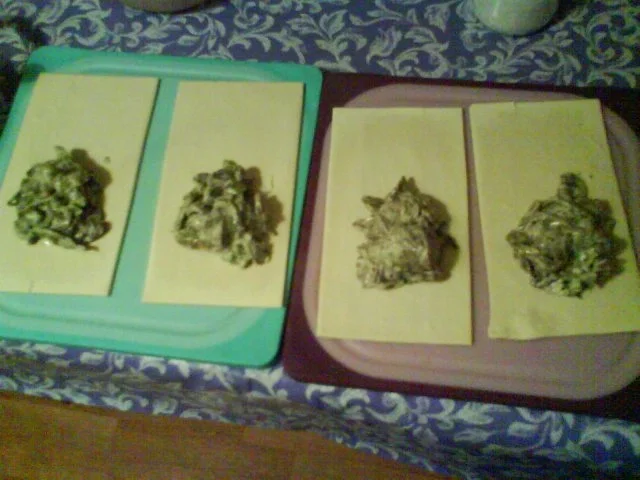 Rezept: Teigtaschen Funghi Bild Nr. 4 Teigtaschen Funghi - Rezept - Bild Nr. 4