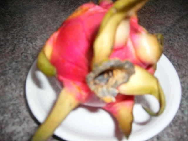 Rezept: Obst-Salat im Januar ohne Banane Bild Nr. 6 Obst-Salat im Januar ohne Banane - Rezept - Bild Nr. 6