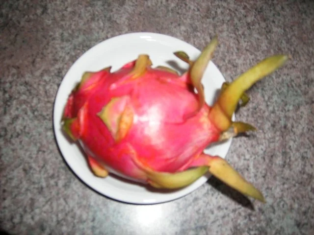 Rezept: Obst-Salat im Januar ohne Banane Bild Nr. 10 Obst-Salat im Januar ohne Banane - Rezept - Bild Nr. 10