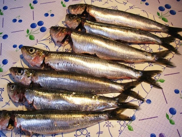 Rezept: Klein - aber fein ... Bild Nr. 2 Klein - aber fein ... - Rezept - Bild Nr. 2