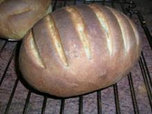 Bruschetta-Brot               " Pane per bruschette"   selbst gebacken und gelingsicher - Rezept