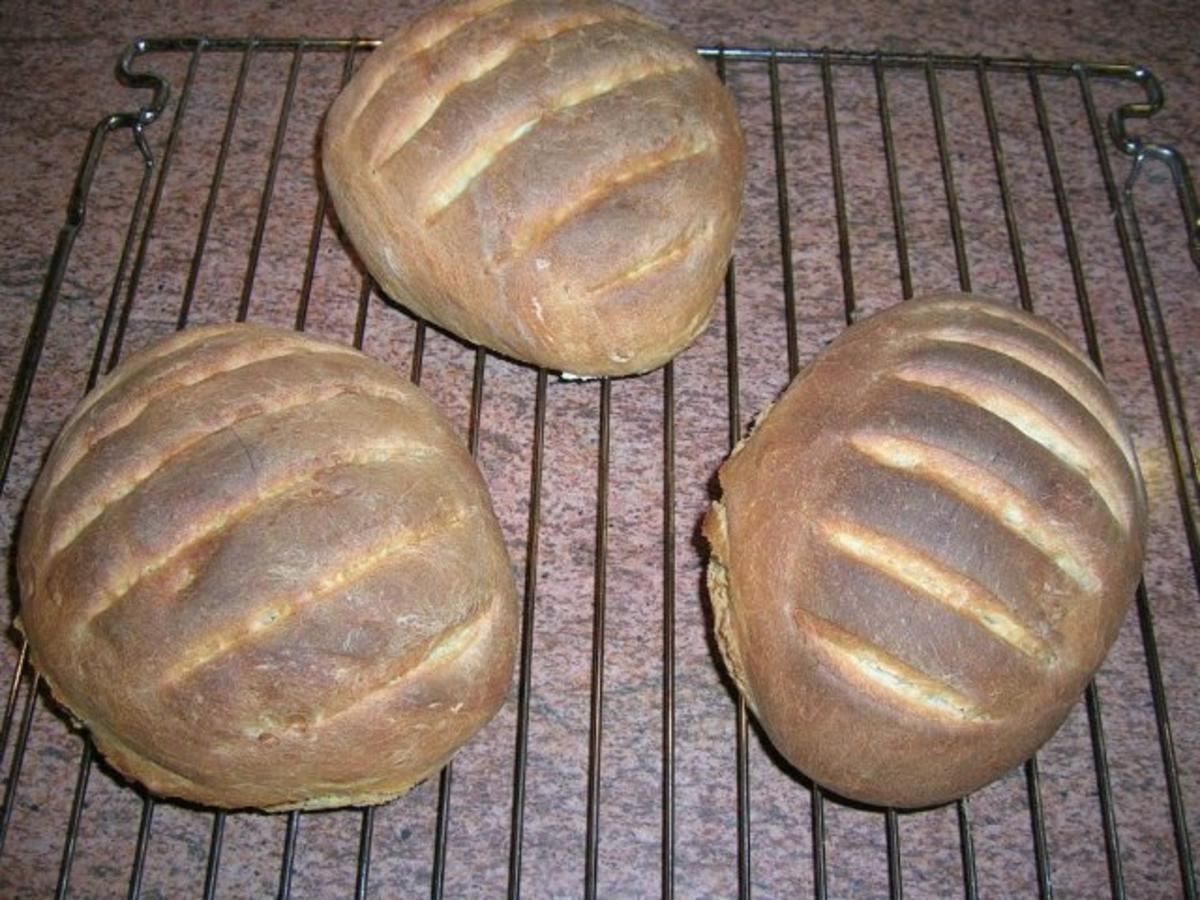 Bruschetta-Brot               " Pane per bruschette"   selbst gebacken und gelingsicher - Rezept - Bild Nr. 2