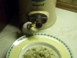 Pikante Käse - Hackfleischsuppe - Rezept