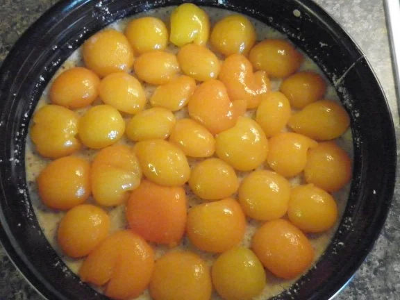 "Krümelkuchen" mit Aprikosen - Rezept - Bild Nr. 4