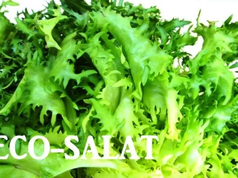 Rezept: Rauchlachs und Forellen-Mousse Bild Nr. 10 Rauchlachs und Forellen-Mousse - Rezept - Bild Nr. 10