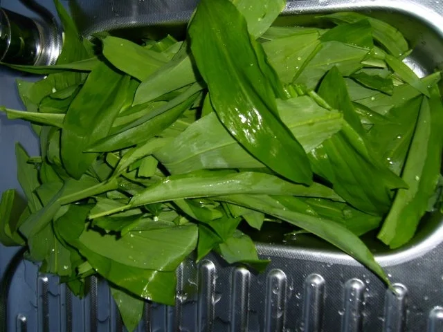 Rezept: Bärlauchpesto Bild Nr. 2 Bärlauchpesto - Rezept - Bild Nr. 2