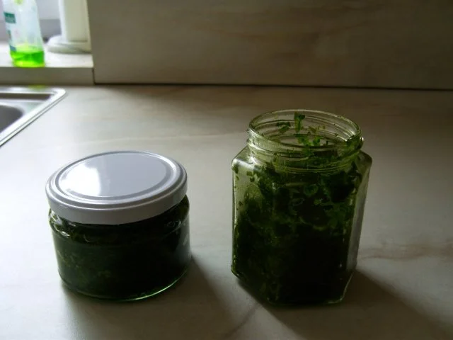 Rezept: Bärlauchpesto Bild Nr. 9 Bärlauchpesto - Rezept - Bild Nr. 9