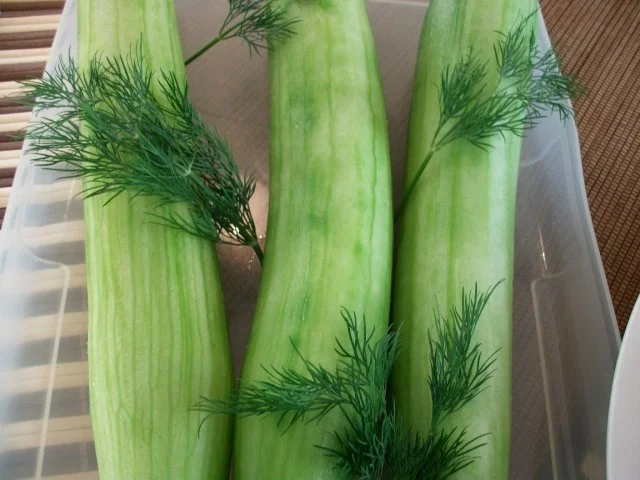 Schmorgurken gefüllt, Stampfkartoffeln, Dill Buttersoße und Wachsbohnensalat mit Tomate... - Rezept - Bild Nr. 4