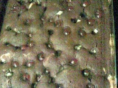 Schneewittchenkuchen - Rezept