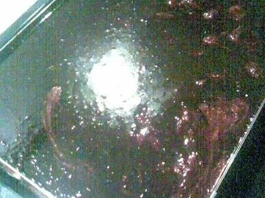 Schneewittchenkuchen - Rezept - Bild Nr. 3