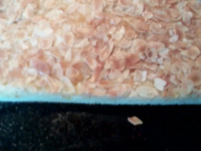 Mandelbuttermilchkuchen - Rezept - Bild Nr. 3