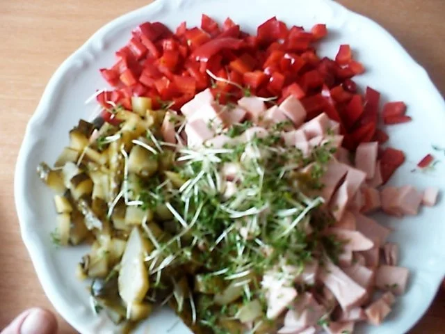 ZIGEUNERSALAT MIT KRESSE - Rezept - Bild Nr. 5