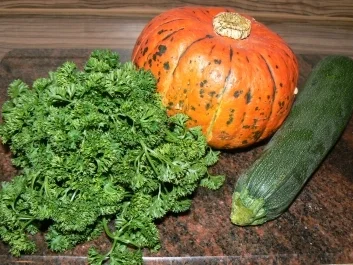 Rezept: Putenzöpfchen an Kürbis-und Zucchinigemüse mit Petersilienkartoffeln Putenzöpfchen an Kürbis-und Zucchinigemüse mit Petersilienkartoffeln - Rezept