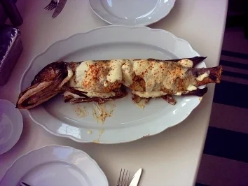 Rezept: Hecht - Badische Art Hecht - Badische Art - Rezept