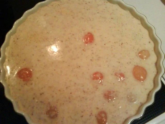 Rezept: flan aux abricots Bild Nr. 5 flan aux abricots - Rezept - Bild Nr. 5