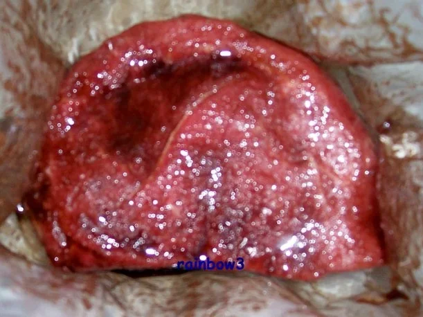 Rezept: Kochen: Rinderbraten mit Rotwein-Zwiebel-Sauce Bild Nr. 3 Kochen: Rinderbraten mit Rotwein-Zwiebel-Sauce - Rezept - Bild Nr. 3