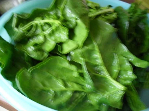 Rezept: Canneloni mit Spinat-Feta-Füllung Canneloni mit Spinat-Feta-Füllung - Rezept