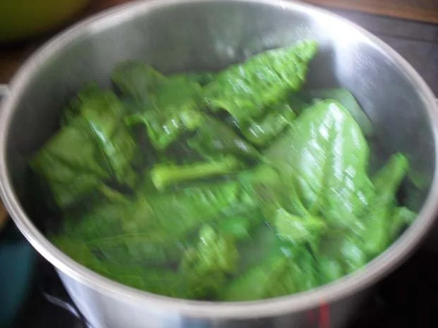 Rezept: Canneloni mit Spinat-Feta-Füllung Bild Nr. 2 Canneloni mit Spinat-Feta-Füllung - Rezept - Bild Nr. 2