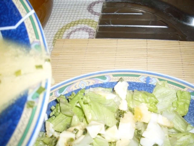 Rezept: FILETMIGNON- SALAT Bild Nr. 5 FILETMIGNON- SALAT - Rezept - Bild Nr. 5