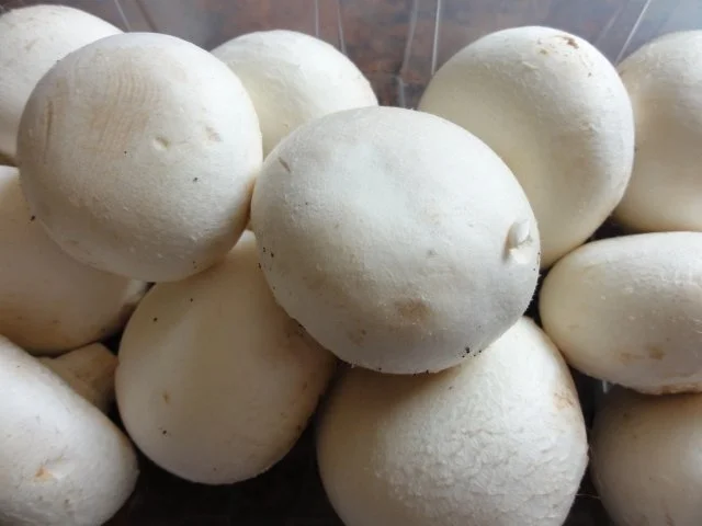 Suppe:    CHAMPIGNON - RAHM - Rezept - Bild Nr. 2