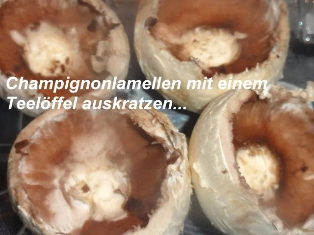 Suppe:    CHAMPIGNON - RAHM - Rezept - Bild Nr. 3