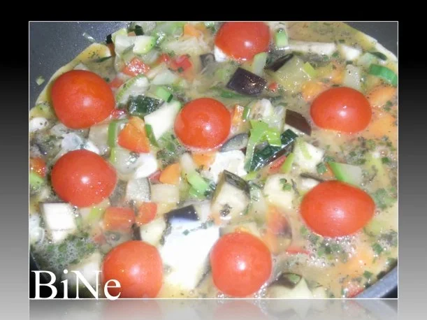 Rezept: BiNe` S GEMUESEOMELETTE Bild Nr. 6 BiNe` S GEMUESEOMELETTE - Rezept - Bild Nr. 6