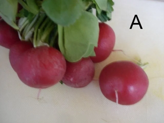 Rezept: Schneiden, schaben, verzieren und garnieren Bild Nr. 30 Schneiden, schaben, verzieren und garnieren - Rezept - Bild Nr. 30