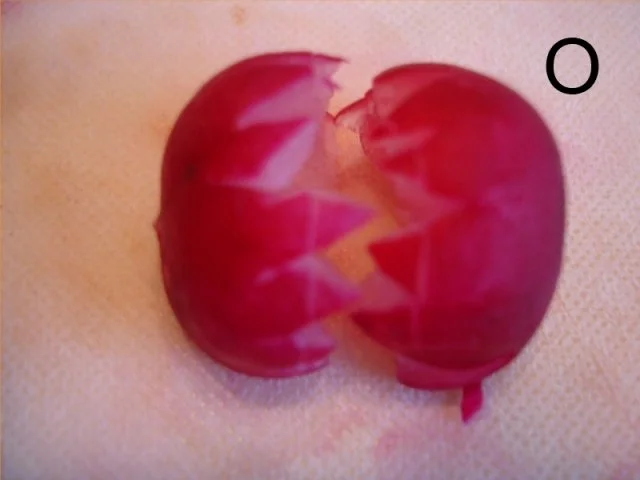 Rezept: Schneiden, schaben, verzieren und garnieren Bild Nr. 44 Schneiden, schaben, verzieren und garnieren - Rezept - Bild Nr. 44