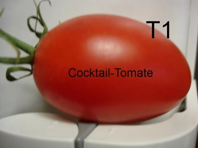 Rezept: Schneiden, schaben, verzieren und garnieren Bild Nr. 50 Schneiden, schaben, verzieren und garnieren - Rezept - Bild Nr. 50