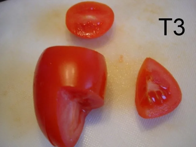 Rezept: Schneiden, schaben, verzieren und garnieren Bild Nr. 52 Schneiden, schaben, verzieren und garnieren - Rezept - Bild Nr. 52