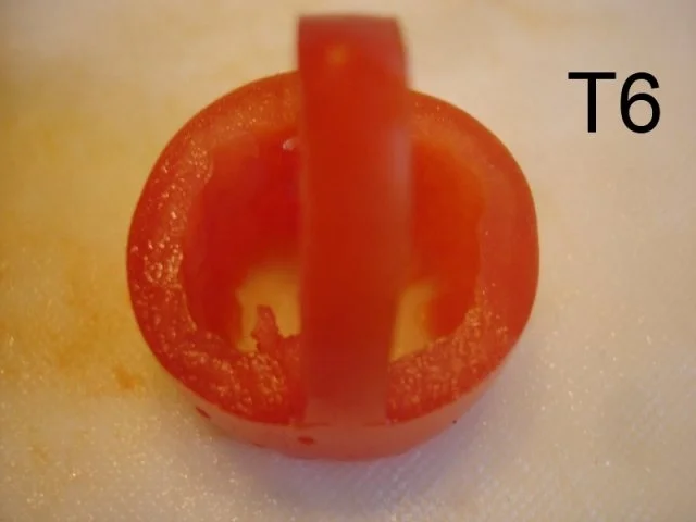 Rezept: Schneiden, schaben, verzieren und garnieren Bild Nr. 55 Schneiden, schaben, verzieren und garnieren - Rezept - Bild Nr. 55