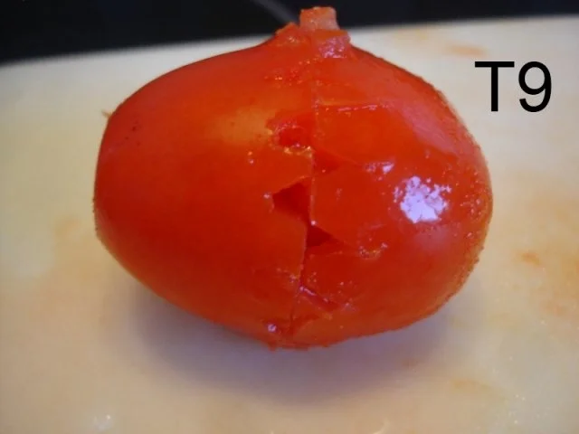 Rezept: Schneiden, schaben, verzieren und garnieren Bild Nr. 58 Schneiden, schaben, verzieren und garnieren - Rezept - Bild Nr. 58