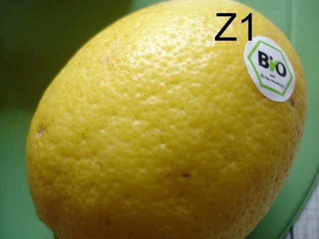 Rezept: Schneiden, schaben, verzieren und garnieren Bild Nr. 71 Schneiden, schaben, verzieren und garnieren - Rezept - Bild Nr. 71