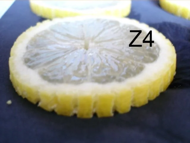 Rezept: Schneiden, schaben, verzieren und garnieren Bild Nr. 74 Schneiden, schaben, verzieren und garnieren - Rezept - Bild Nr. 74