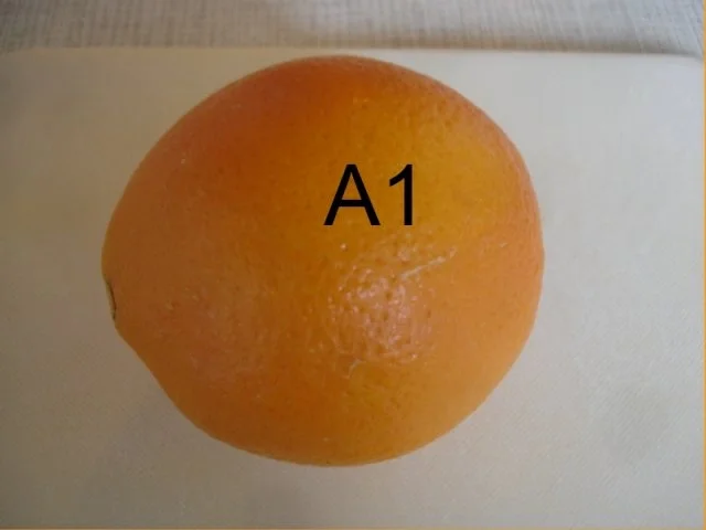 Rezept: Schneiden, schaben, verzieren und garnieren Bild Nr. 191 Schneiden, schaben, verzieren und garnieren - Rezept - Bild Nr. 191