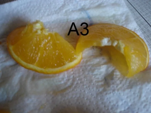 Rezept: Schneiden, schaben, verzieren und garnieren Bild Nr. 193 Schneiden, schaben, verzieren und garnieren - Rezept - Bild Nr. 193