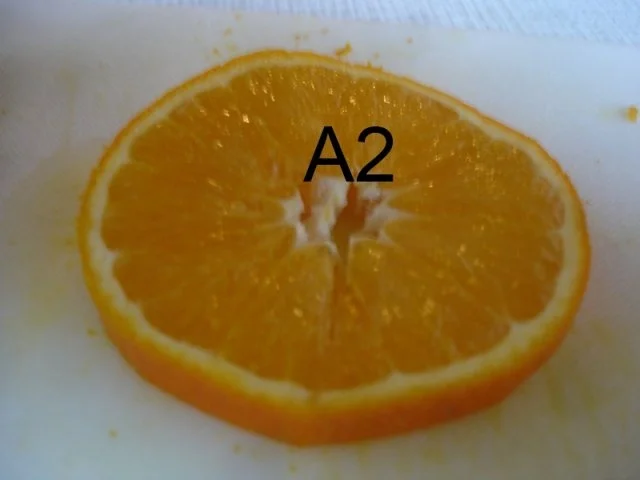 Rezept: Schneiden, schaben, verzieren und garnieren Bild Nr. 192 Schneiden, schaben, verzieren und garnieren - Rezept - Bild Nr. 192