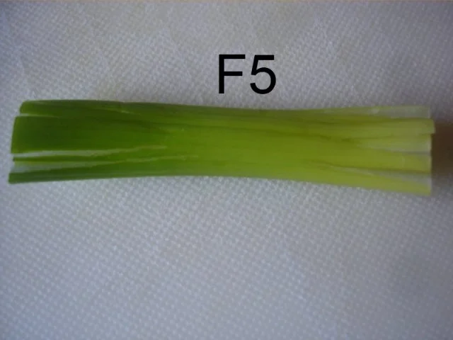 Rezept: Schneiden, schaben, verzieren und garnieren Bild Nr. 8 Schneiden, schaben, verzieren und garnieren - Rezept - Bild Nr. 8