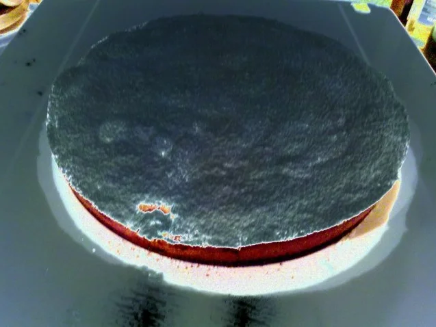 Rezept: Kuchen: Lychee-Vanillekuchen Bild Nr. 10 Kuchen: Lychee-Vanillekuchen - Rezept - Bild Nr. 10