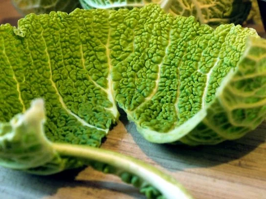 Rezept: Gebratener Skrei an Wirsing-Risotto Bild Nr. 2 Gebratener Skrei an Wirsing-Risotto - Rezept - Bild Nr. 2