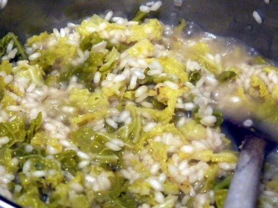 Rezept: Gebratener Skrei an Wirsing-Risotto Bild Nr. 8 Gebratener Skrei an Wirsing-Risotto - Rezept - Bild Nr. 8