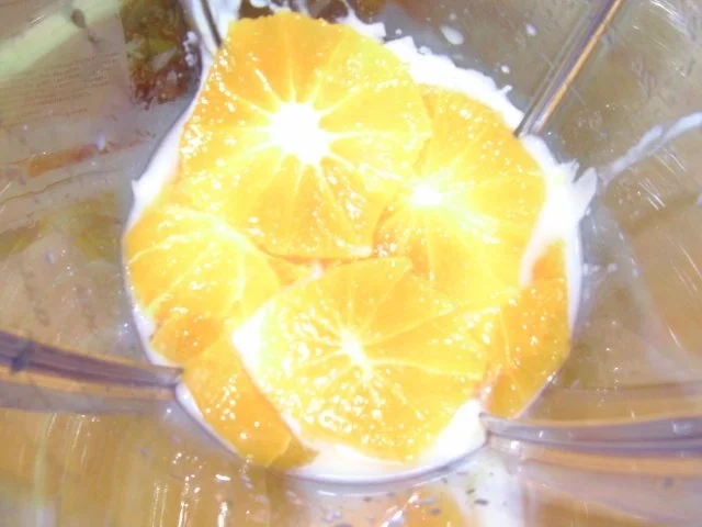 Joghurt-Orangen-Drink - Rezept - Bild Nr. 2