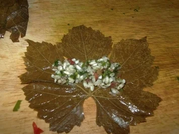 Gefüllte Weinblätter, mit Gemüse - Rezept