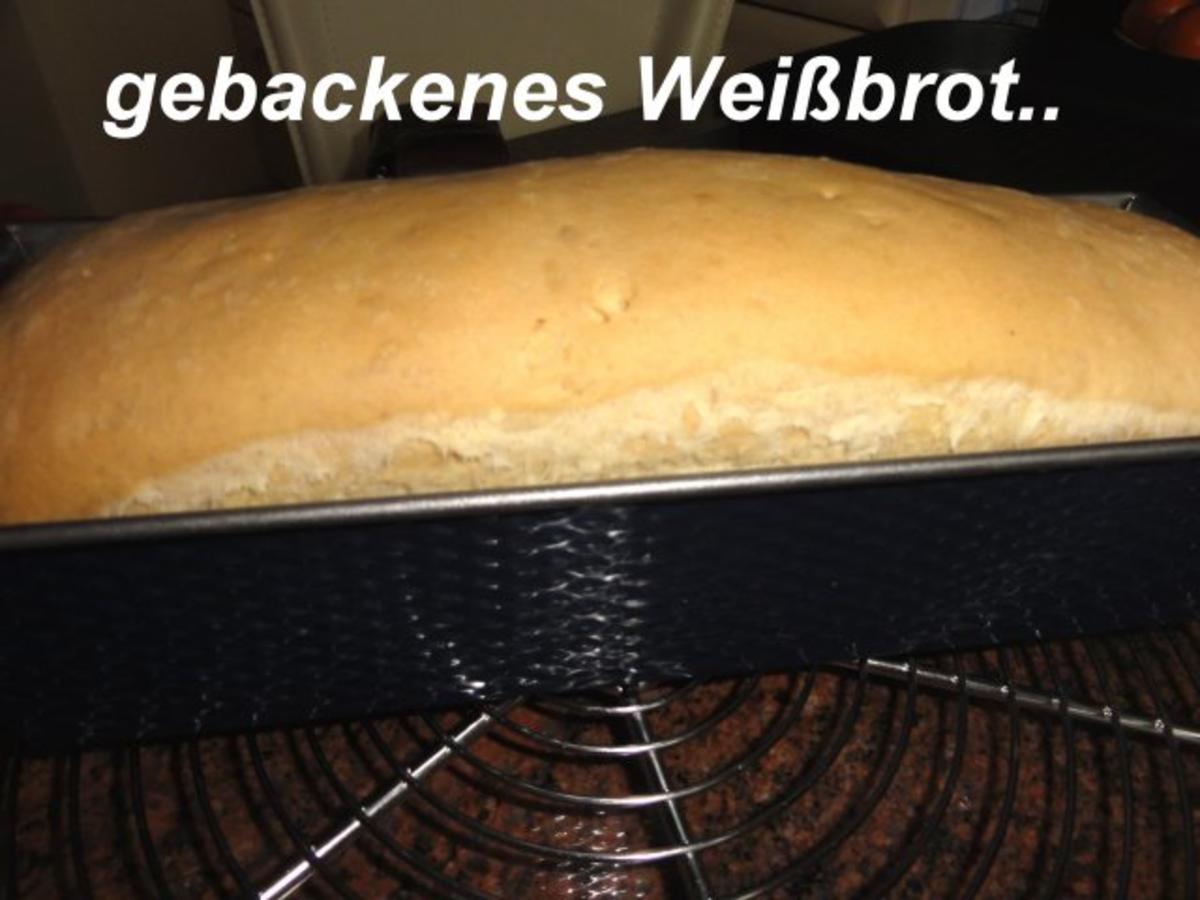 Brot:   WEIßBROT / TOASTBROT - Rezept - Bild Nr. 11