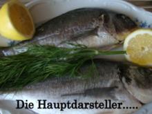 Dorade gegrillt mit Fenchel - Rezept