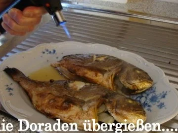 Dorade gegrillt mit Fenchel - Rezept - Bild Nr. 14