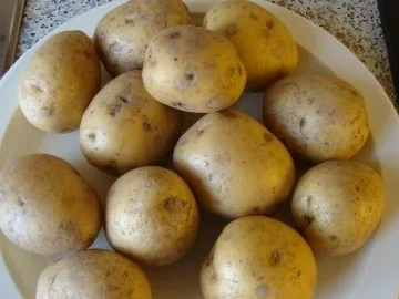 Dorade gegrillt mit Fenchel - Rezept - Bild Nr. 7