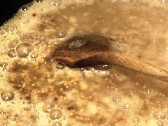 Whisky-Mustard-Chicken - Rezept - Bild Nr. 6